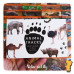 Animal Tracks - Pegadas