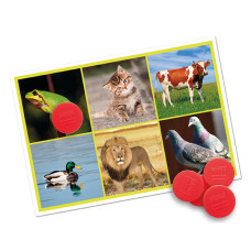 Bingo: Os Animais e a Natureza