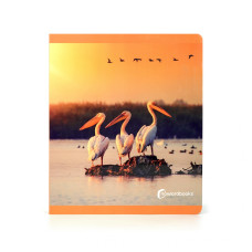 Nº 116 - Aves (24,5x21)