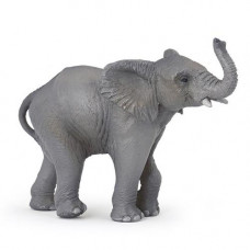 Elefante Jovem